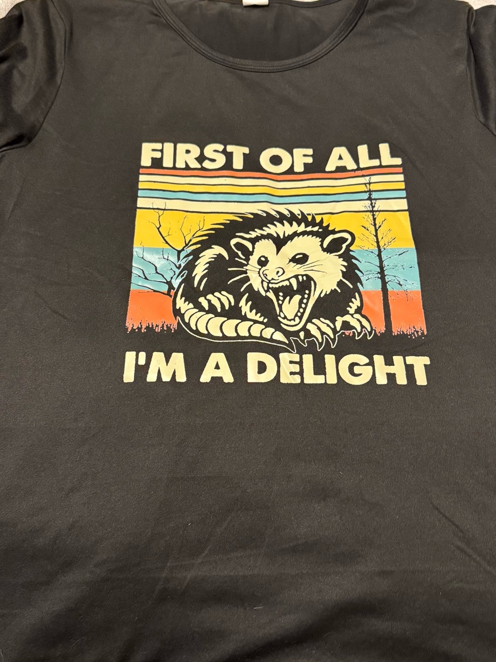 Black Graphic Tee "First Of All I'm A Delight"
